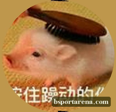 孙鹏
